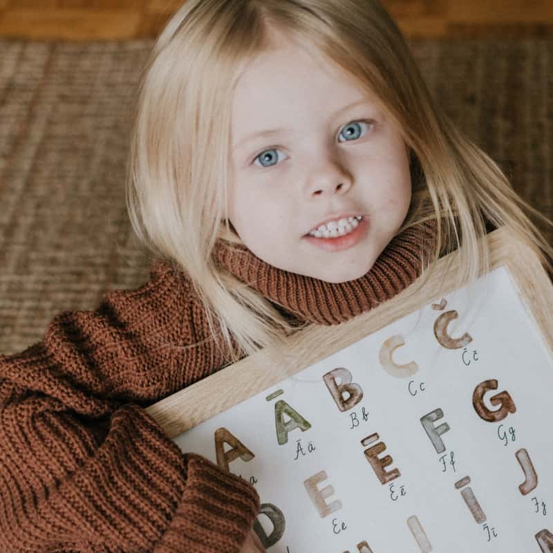 phonetic reading programs