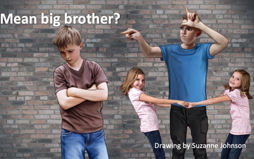 SON PICKS ON YOUNGER SIBLING, MOM WORRIED ABOUT PSYCHOLOGICAL IMPACT